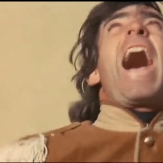 El zorro 2 Brandy